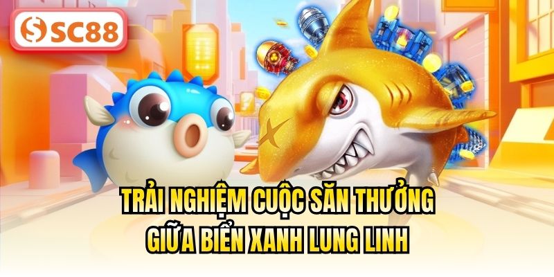 Trải nghiệm cuộc săn thưởng giữa biển xanh lung linh